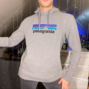 PATAGONIA grey long sleeve hoodie